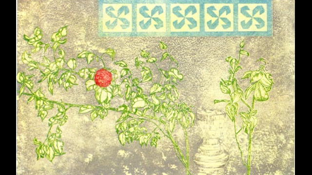 Roberto Cenci
“Rosa rossa”
incisione su rame - 3 lastre e 6 colori - acquaforte acquatinta cm 40x60
Mostra Atelier Capricorno “Giardini d’inverno” anno 2019