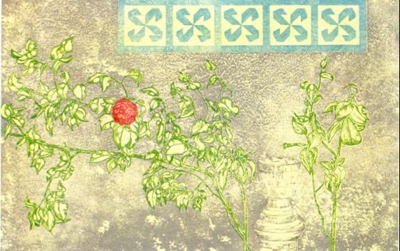 Roberto Cenci
“Rosa rossa”
incisione su rame - 3 lastre e 6 colori - acquaforte acquatinta cm 40x60
Mostra Atelier Capricorno “Giardini d’inverno” anno 2019